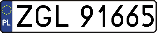 ZGL91665