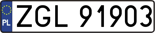 ZGL91903