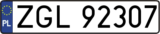 ZGL92307