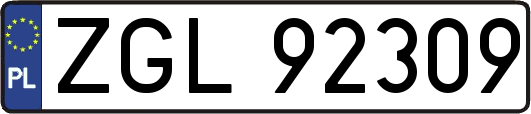 ZGL92309
