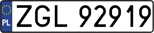 ZGL92919