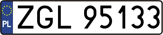 ZGL95133