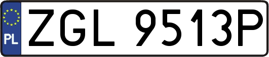 ZGL9513P