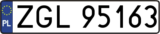 ZGL95163