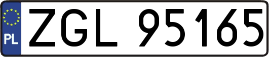 ZGL95165