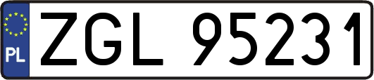 ZGL95231