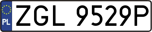 ZGL9529P