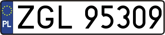 ZGL95309