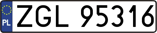 ZGL95316