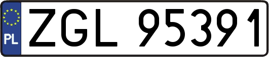 ZGL95391