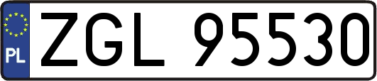 ZGL95530