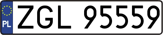 ZGL95559