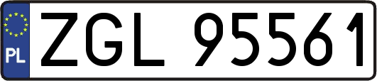 ZGL95561