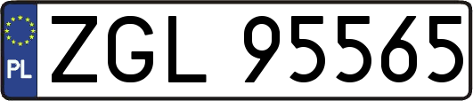 ZGL95565
