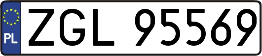 ZGL95569