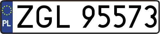 ZGL95573