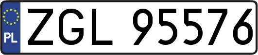ZGL95576