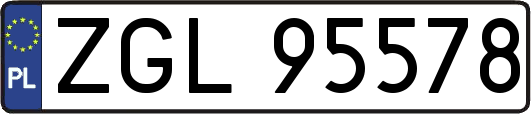 ZGL95578