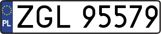 ZGL95579