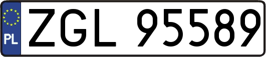 ZGL95589