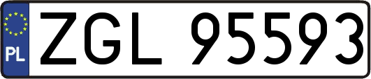 ZGL95593