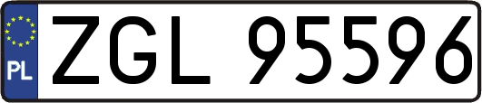 ZGL95596