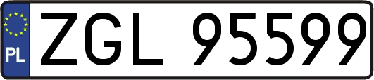 ZGL95599