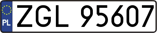 ZGL95607