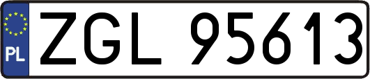 ZGL95613