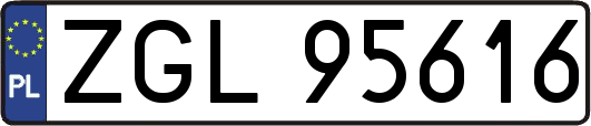 ZGL95616