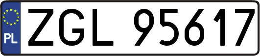 ZGL95617