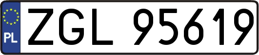 ZGL95619