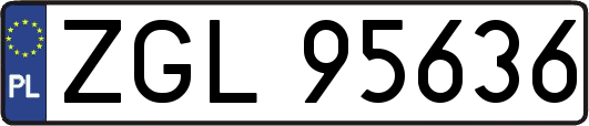 ZGL95636