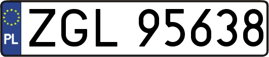 ZGL95638