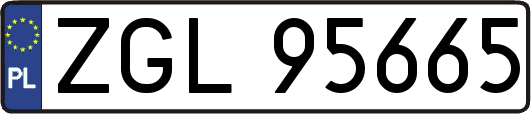 ZGL95665