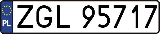 ZGL95717