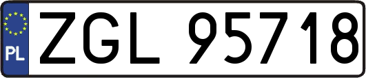 ZGL95718