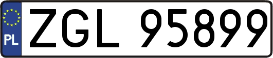 ZGL95899