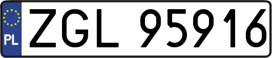 ZGL95916