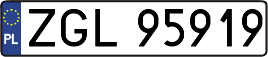 ZGL95919