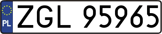 ZGL95965