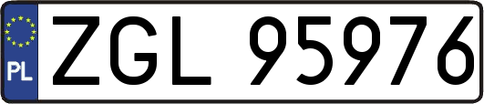 ZGL95976