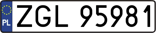 ZGL95981