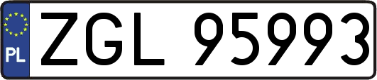 ZGL95993