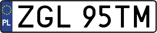 ZGL95TM