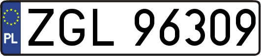 ZGL96309