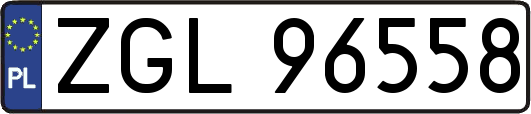 ZGL96558