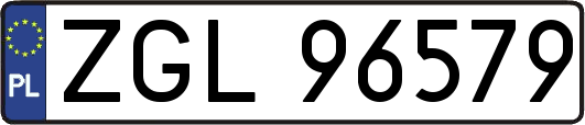 ZGL96579