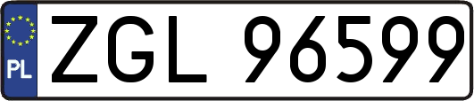 ZGL96599