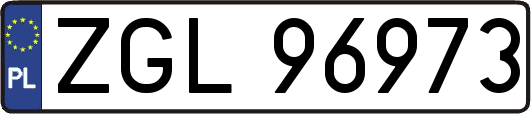 ZGL96973